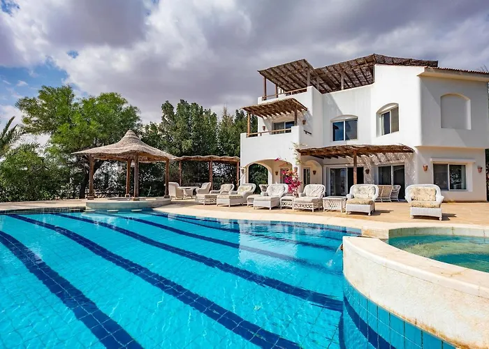 Yasmin El Gouna *
